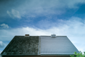 Cleaning Your Roof: What You Need to Know